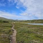 Duogjegogvito