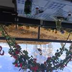 Ela