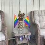 Homojohn