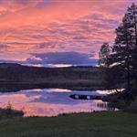 Jordnær