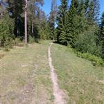 SOMMER26