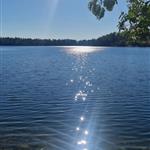 Sunshine