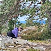 Jordnær